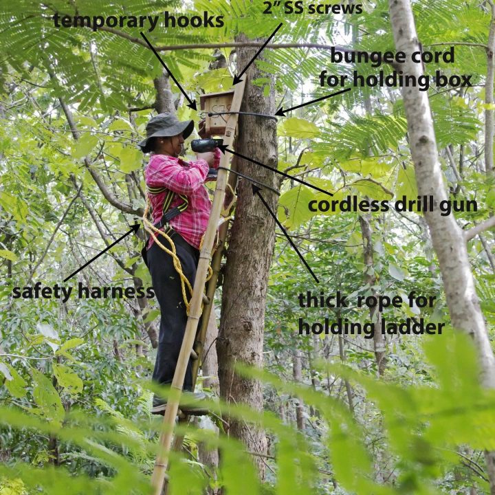 Saftey Saftey